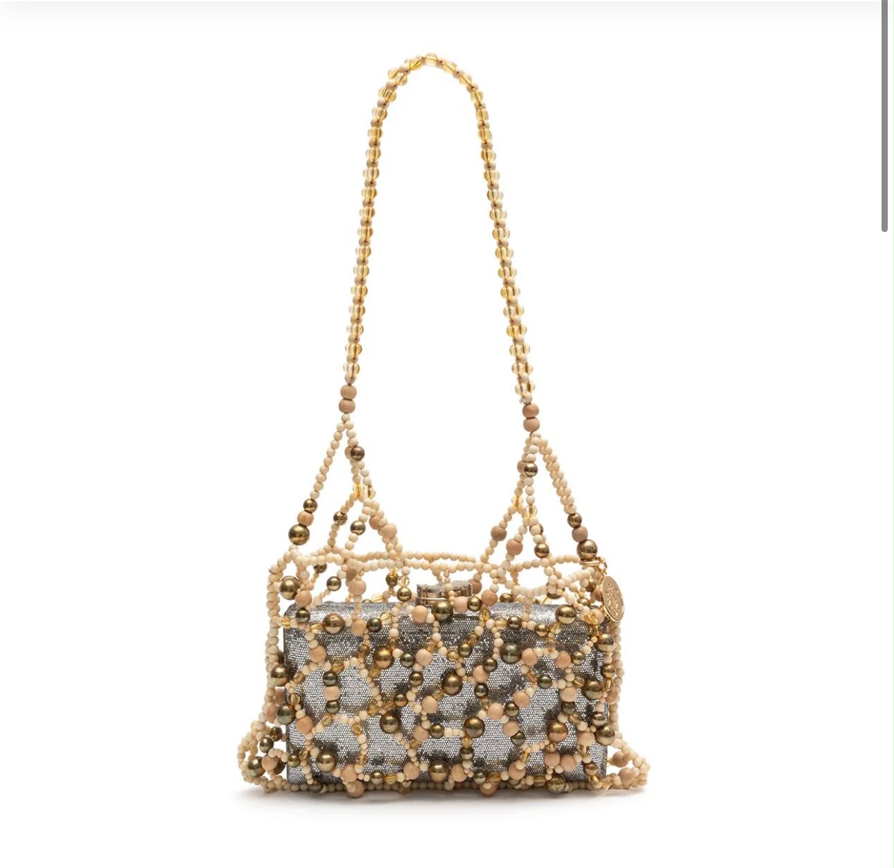 GOLD/SILVER CLUTCH CASE
